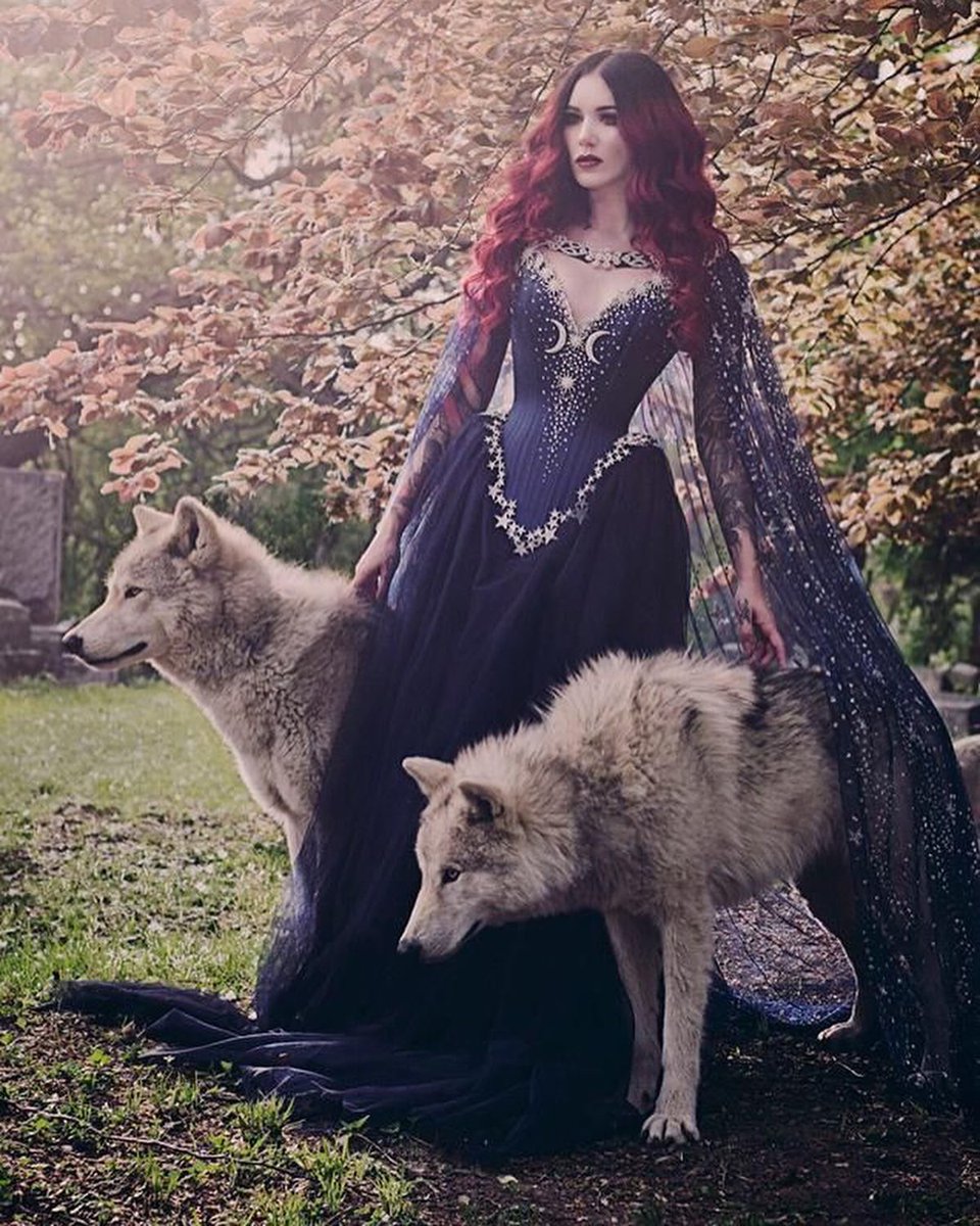 CervenaFox's tweet photo. Want to model with a wolf? I’ve joined with #rachellaurenphoto of #ohiocanidcntr for another workshop in Columbus Ohio on October 13th Makeup by #rubyred_fox 🐺✨ only
3 spots left!!! DM me on Instagram if you would like to be part of this 🥰 https://t.co/tWIjvAyL6i
