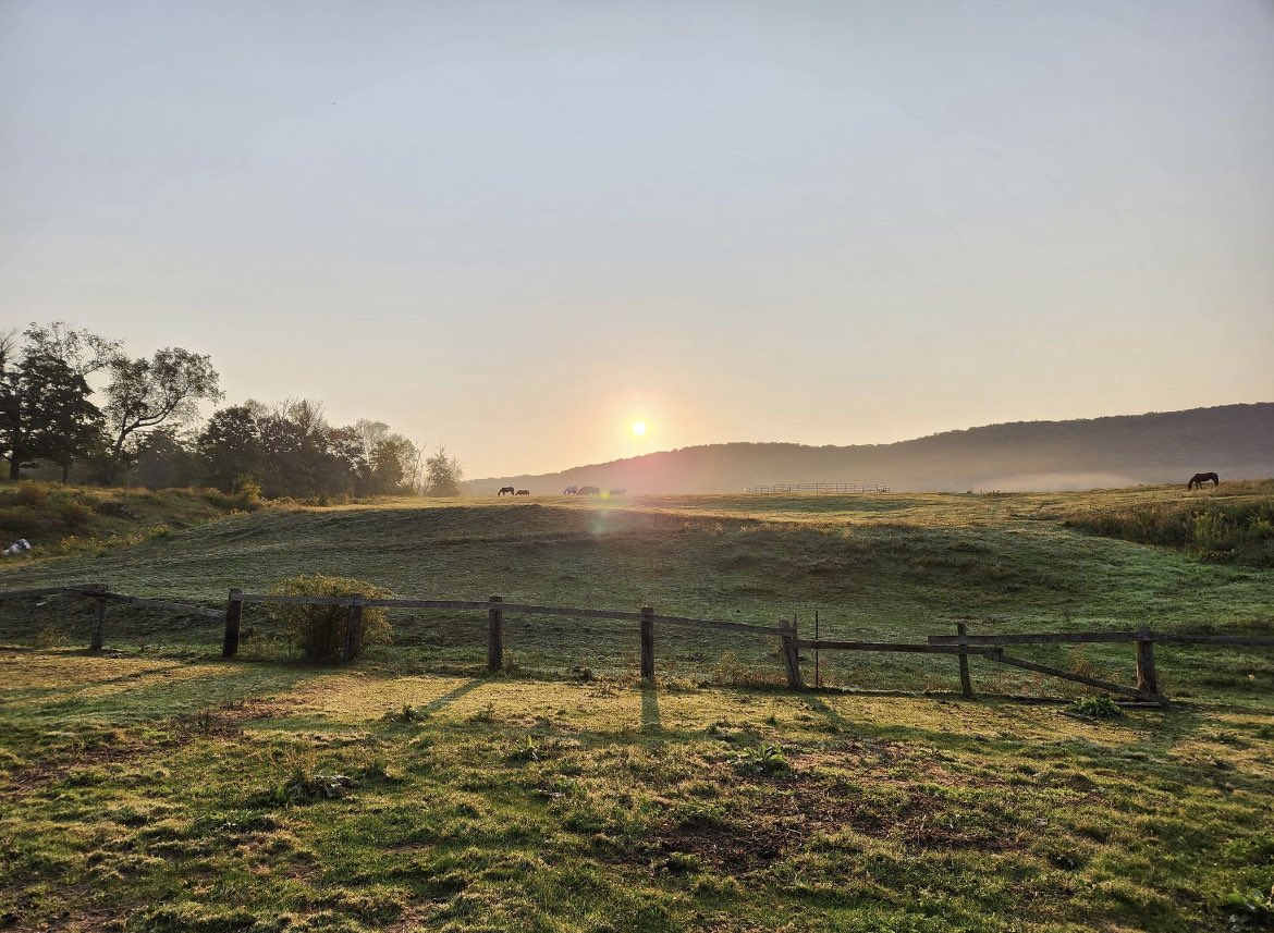 “Each new day is an opportunity to start afresh, to see each new day as an opportunity to embrace life's events not fear what lies ahead.” -Byron Pulsifer 

Photo credit Anne Garrity in Lanesboro
