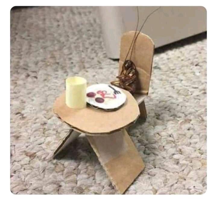 لمن تدخل المطبخ وتفتح النور الساعة 3am