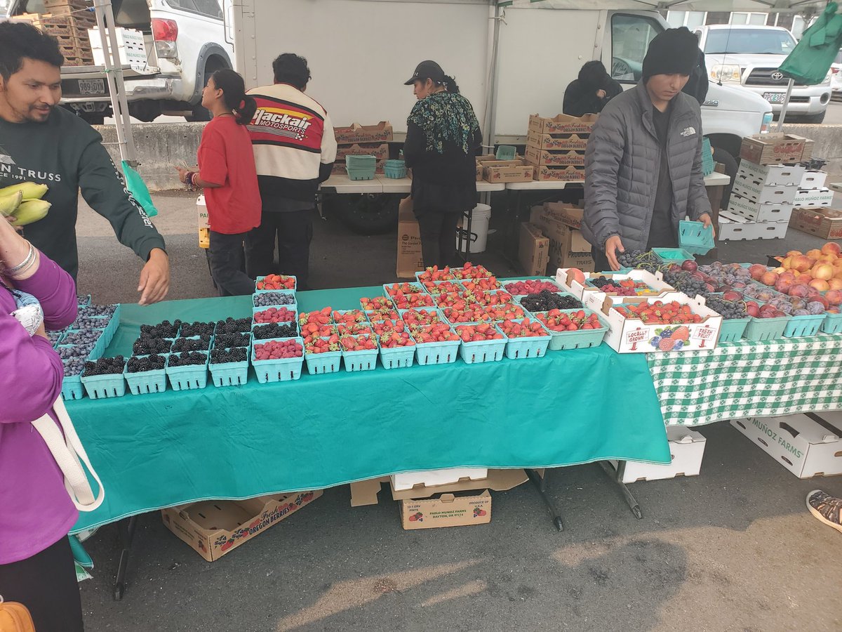 TheProwlingCat's tweet photo. Hit the farmers market today. Wife loves doing these any time we are on the road. Picked up a couple pretty good sized tomatoes for Monday when we get home. https://t.co/JHpH9NvF9n