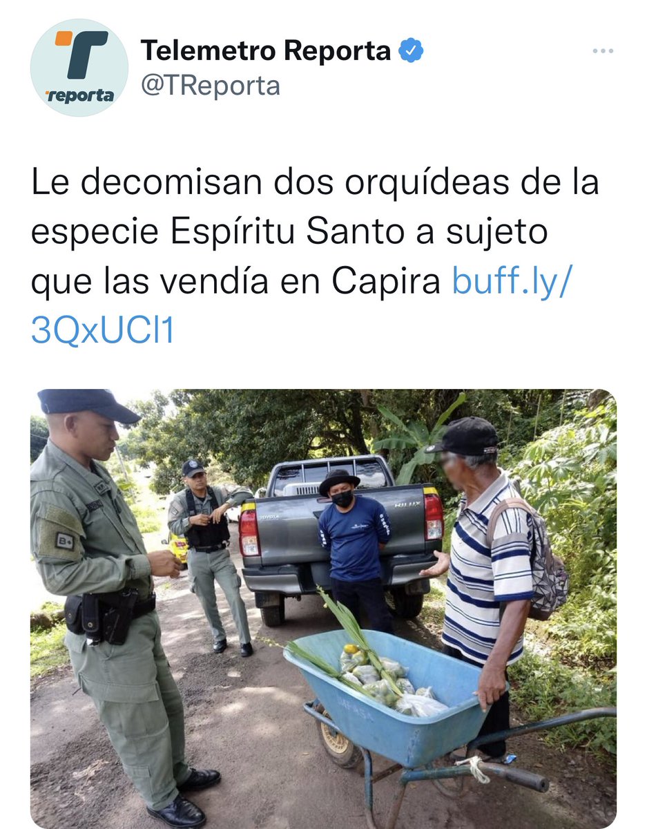 Alvaro Alvarado - Noticias 180 Minutos/ Sin Rodeos tweet media