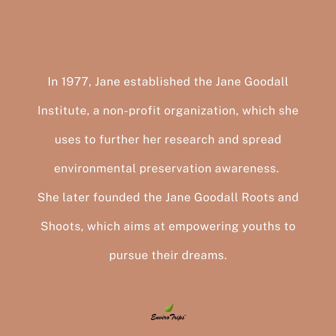 ENVIRO_TRIPS's tweet photo. JANE GOODALL:

• As a young lady, Jane traveled to #Tanzania, where she immediately started research on chimpanzees, and has never stopped.

• Today, Jane is not only a #chimpanzee researcher in Tanzania but she travels around the globe #advocating for a greener #environment https://t.co/rHe3F6Q8iA