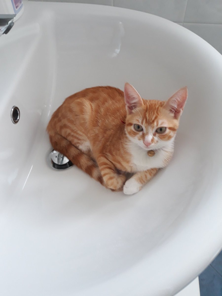 _evocation_'s tweet image. MOMENTO BAGNETTO??? 🤭🤭🤭