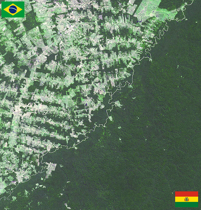 RajaoPhD's tweet photo. Fronteira entre Brasil e Bolívia, que compartilham a Amazônia.
Adivinha qual é o país que sempre diz que é o que mais conserva suas florestas? https://t.co/p64zS7QbNi