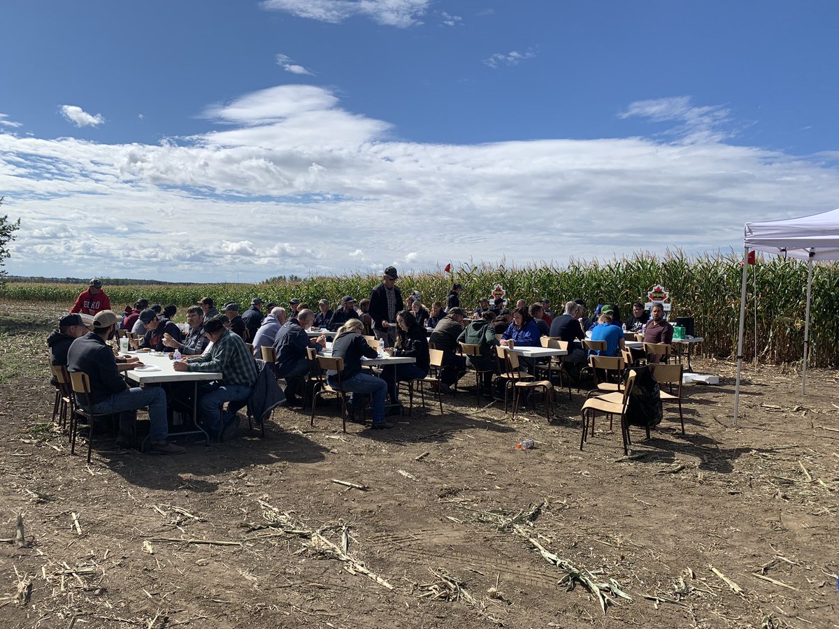 Thanks to everyone that came out to <a href="/PioneerSeedsCA/">Pioneer Seeds Canada</a> Corn Super Site tour. Looks like it’s go time for silage season. Looking forward to the #yieldhero entries!