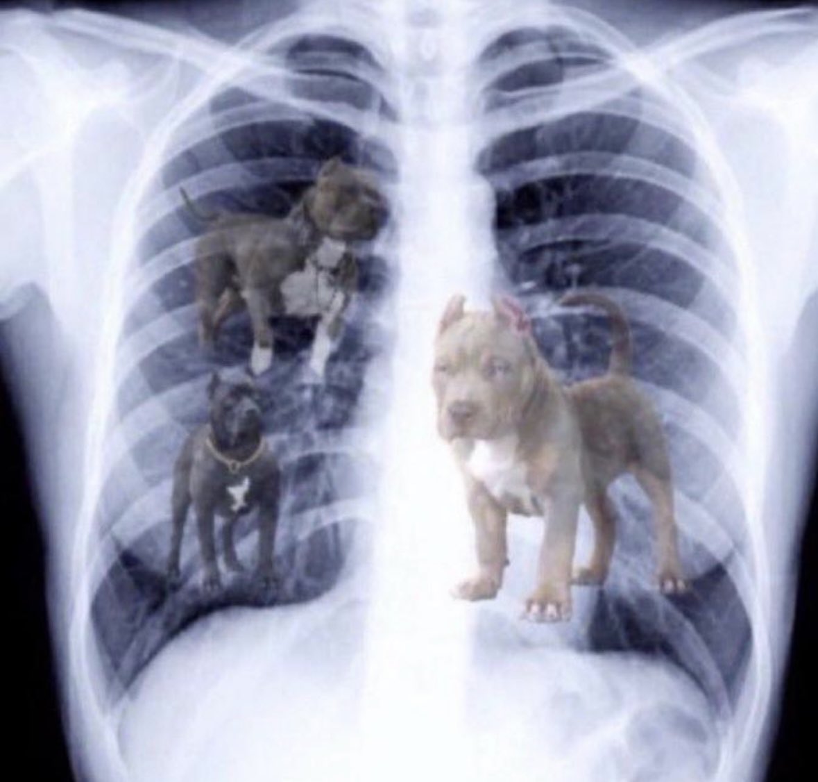 bryce young on that last drive