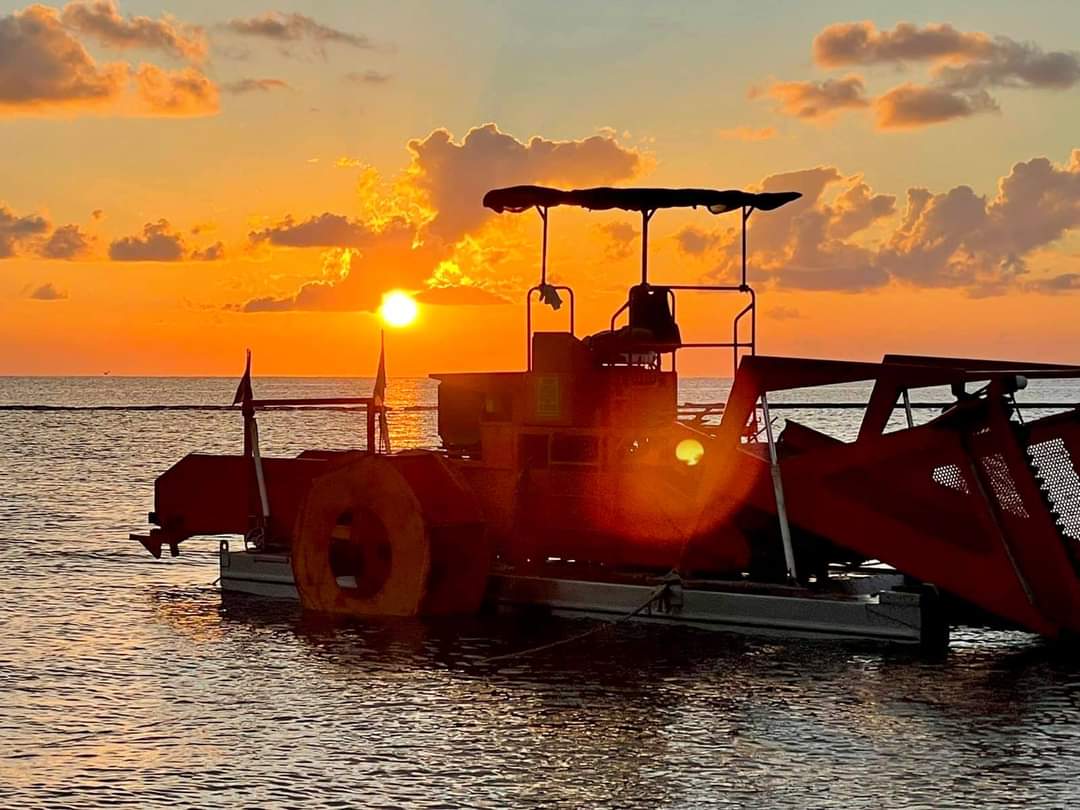 mapachestec's tweet photo. @omaralpuche Sin duda un hermoso mural digno de conocer en #PuertoMorelos @saori_rosel @YDominguez08 @O_MUY09 @SugeyCouoh @vanessachuc68 @MarianaVazquezE @TheAlanAlexis @BrandonBMexMtz @anakarencortes6 @egreteccancun @enriqueoyromero @ponchomena @chetubien @fermin_carrillo @LigiaSierraA https://t.co/ucBGsgi1E4