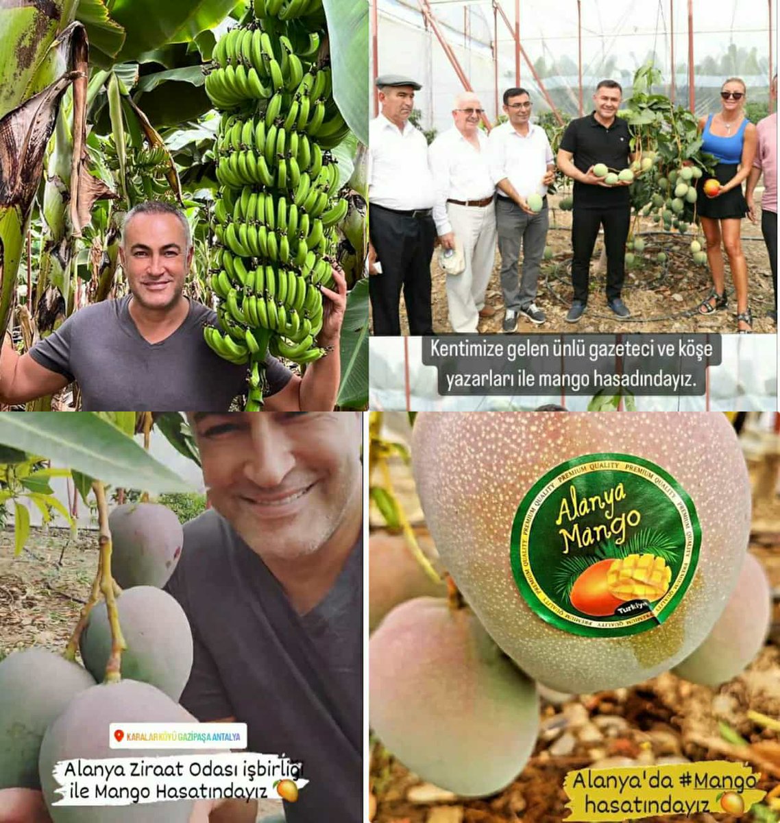 stopmealanya's tweet photo. Tropikal meyvelerin ülkemizdeki başkenti kuşkusuz #Alanya'dır. #tropikal #meyve #mango #muz #pitaya #pithaya #ejdermeyvesi #alanyaziraatodası #alanya #tarım https://t.co/DCrenWCQYS