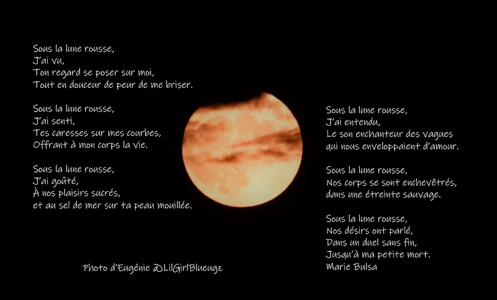 BulsaMarie's tweet photo. Sous la lune photographiée par Eugénie @LilGirlBlueugz #amour #mer #lunerousse #lune #photo @DInfos @LeLynxComtois @Christo324085 @BastaNissa @amrenaudie @DOCILE6120 @isias105 @country152 @Antonius21231 https://t.co/I4JvnME83k