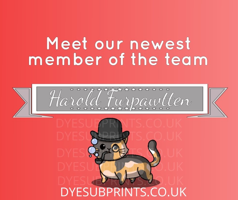 dyesubprints's tweet photo. Congrats to the winner of our competition. Please say hello to our newest member of the team, Harold Furpawtten https://t.co/S9e3x4frtQ