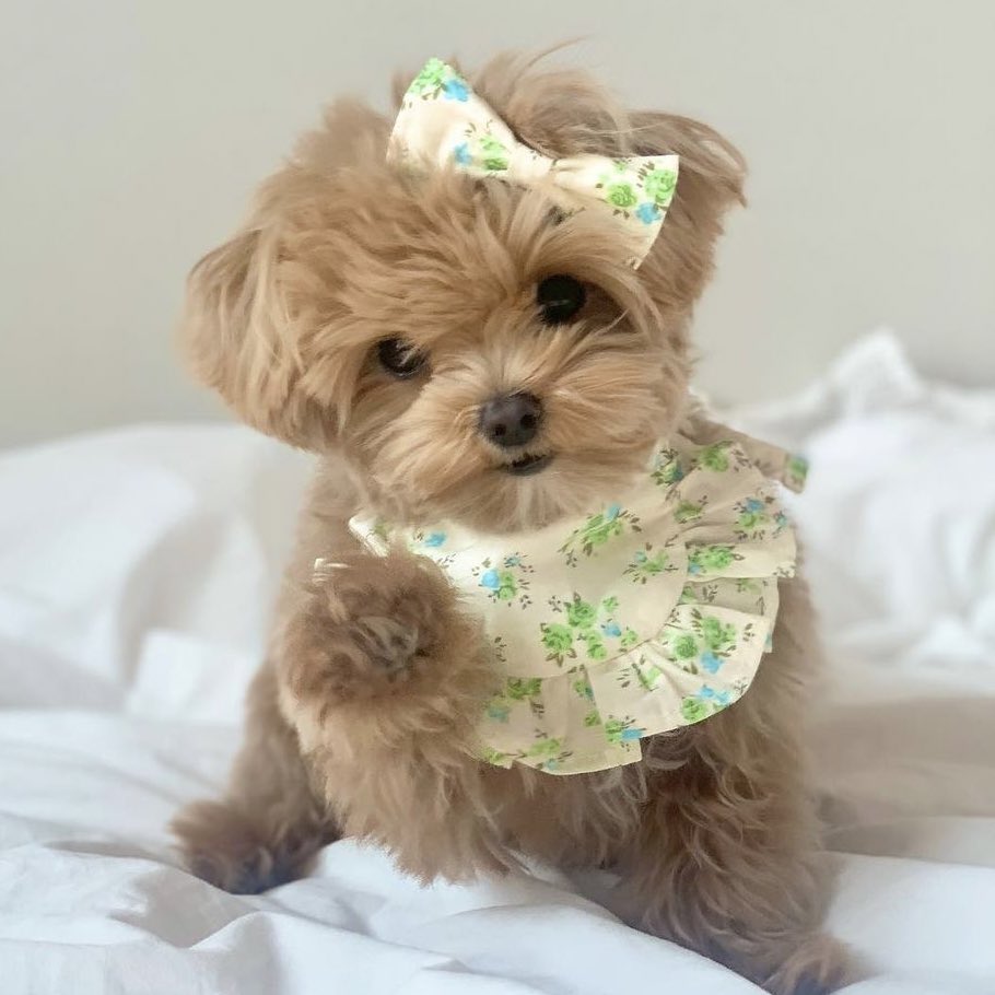 chirinhae's tweet image. if there’s any neo i want to open up a pet ig acc it’ll be sungchan like LOOK AT HER