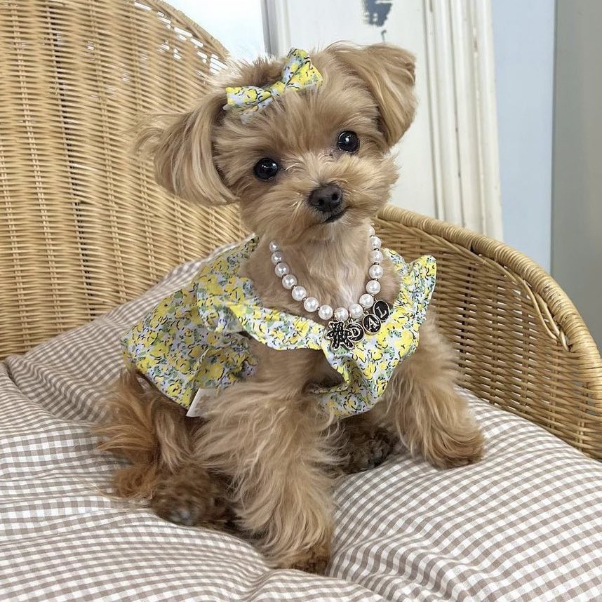 chirinhae's tweet image. if there’s any neo i want to open up a pet ig acc it’ll be sungchan like LOOK AT HER