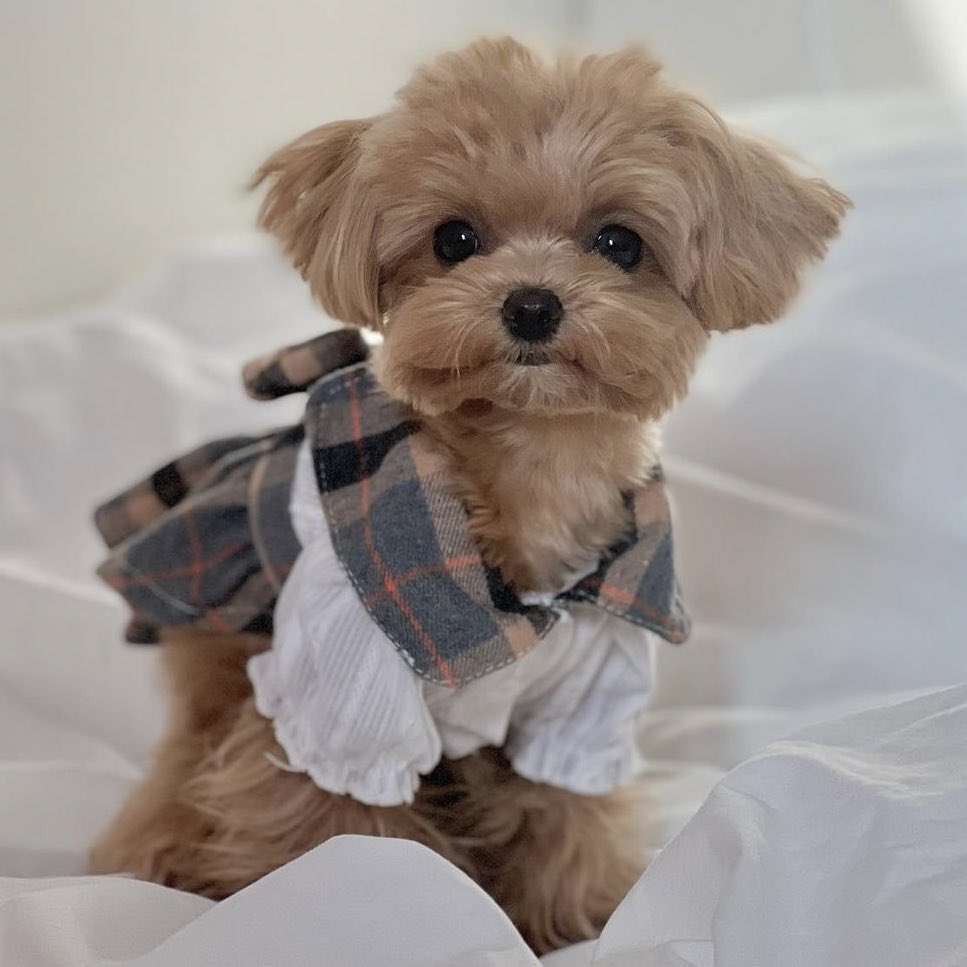 chirinhae's tweet image. if there’s any neo i want to open up a pet ig acc it’ll be sungchan like LOOK AT HER