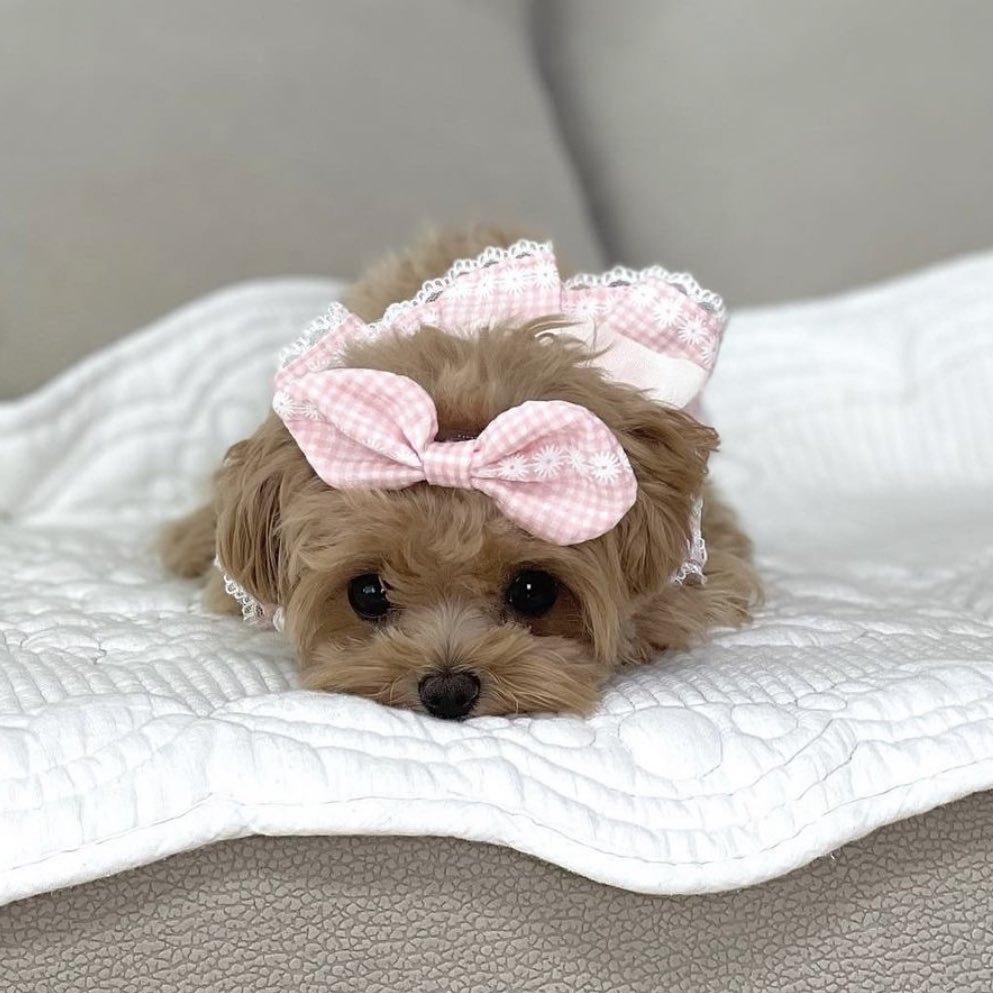 chirinhae's tweet image. if there’s any neo i want to open up a pet ig acc it’ll be sungchan like LOOK AT HER