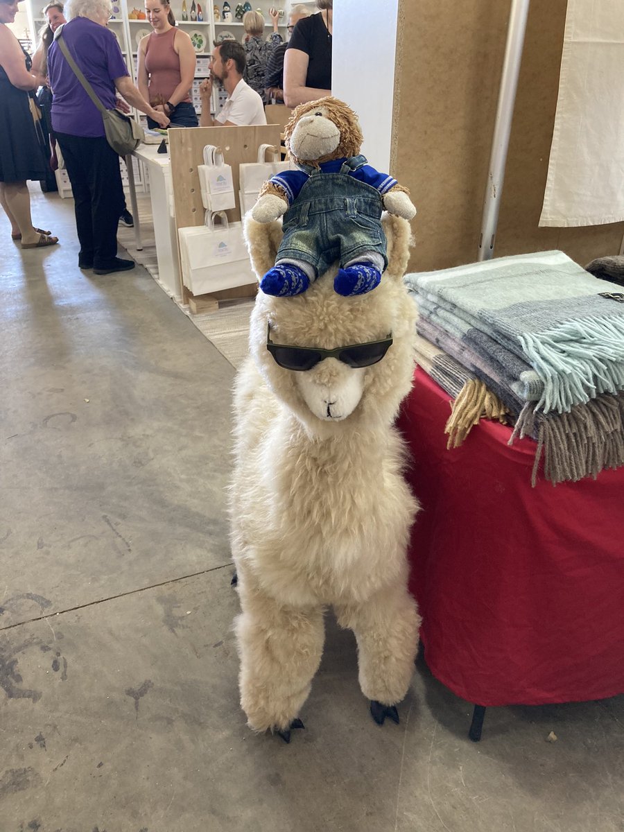 TheSmoochMonkey's tweet photo. The lamb got a new hat!!!
LOL 😆 https://t.co/m0YRdWUabN