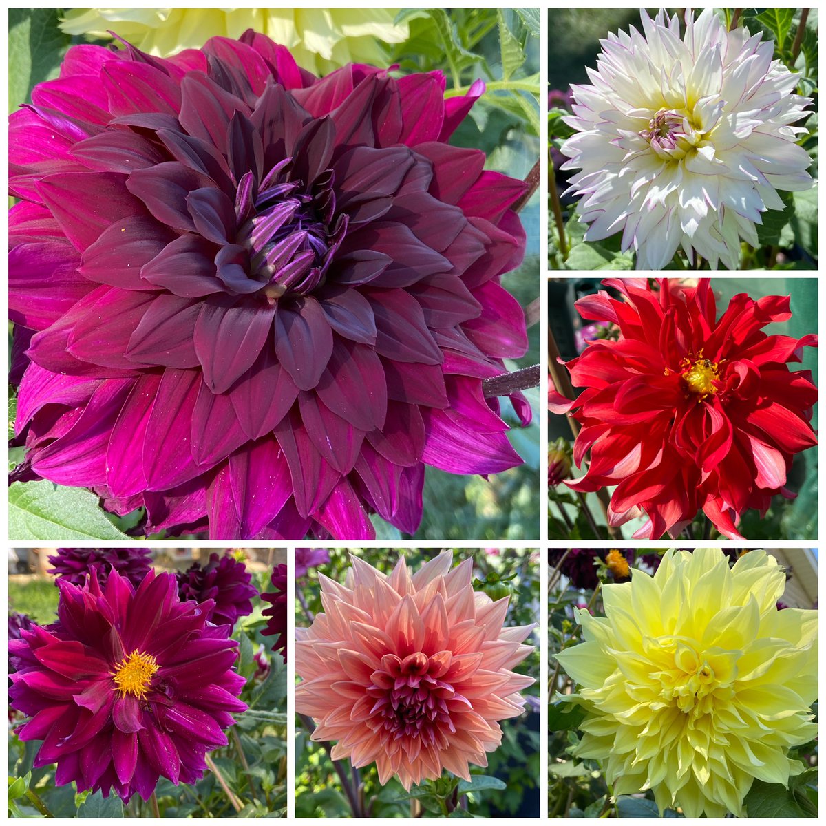 Jeffrey Stininger🌱 tweet media