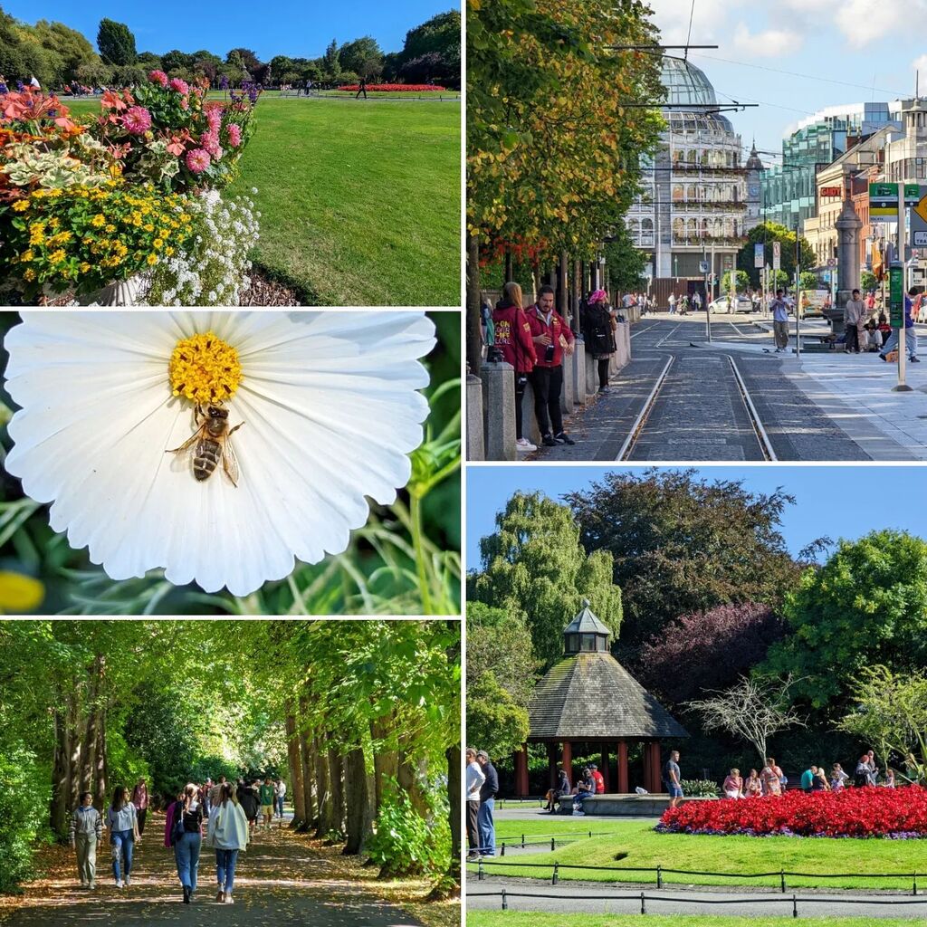 Kutoyx's tweet photo. St Stephen's Green, on a cracking sunny day ! #ststephensgreen #Dublin #Ireland #bee #flowers #Park #tramtracks #shoppingcenter #partage #Twitter https://t.co/Ti055VEdz2 https://t.co/A8sTNTTgBA