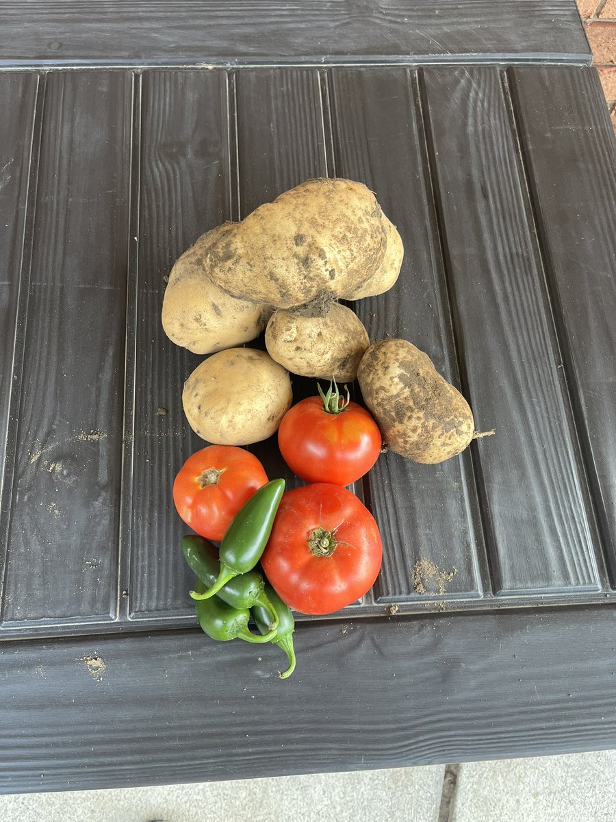 msulli_farms's tweet photo. Fresh from garden, nothing beats home grown #southernontariobreadbasket https://t.co/g7SjUfUFG8