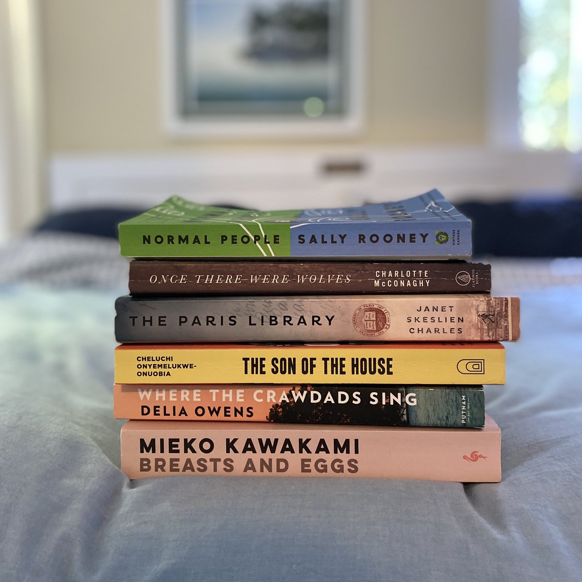 hmricks74's tweet image. Managed to squeeze in some great books this summer! These were all full of great storytelling &amp;amp; captivating characters (including nature or physical environment as a character). 
I’ll definitely be reading more by Sally Rooney &amp;amp; Charlotte McConaghy. 
🇮🇪 🇦🇺