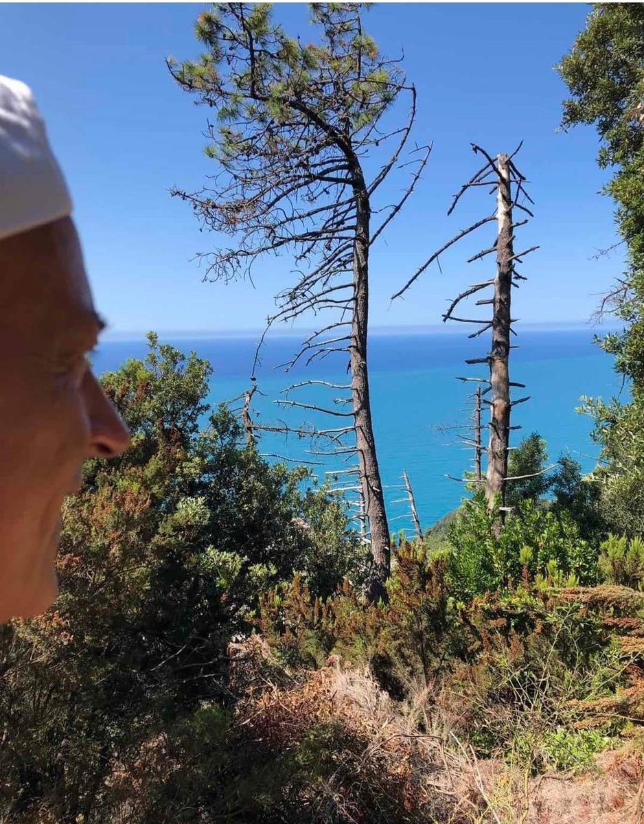 PAEWebtvBLOG's tweet photo. Slow down time by losing sight of a first planned #destination in the meantime accelerating that unscheduled #cultural contamination at the first 🌎 corner🧡 Have a  great weekend           #alwaysactionwithpassion #traveltainmenttalk #experientialtravel #slowtravel https://t.co/dSWYztilyC