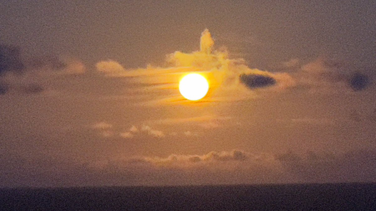 Desde el Paraíso 🌞🌴

Muy buenas noches 💤 

#LaPalma #EncantoPalmero