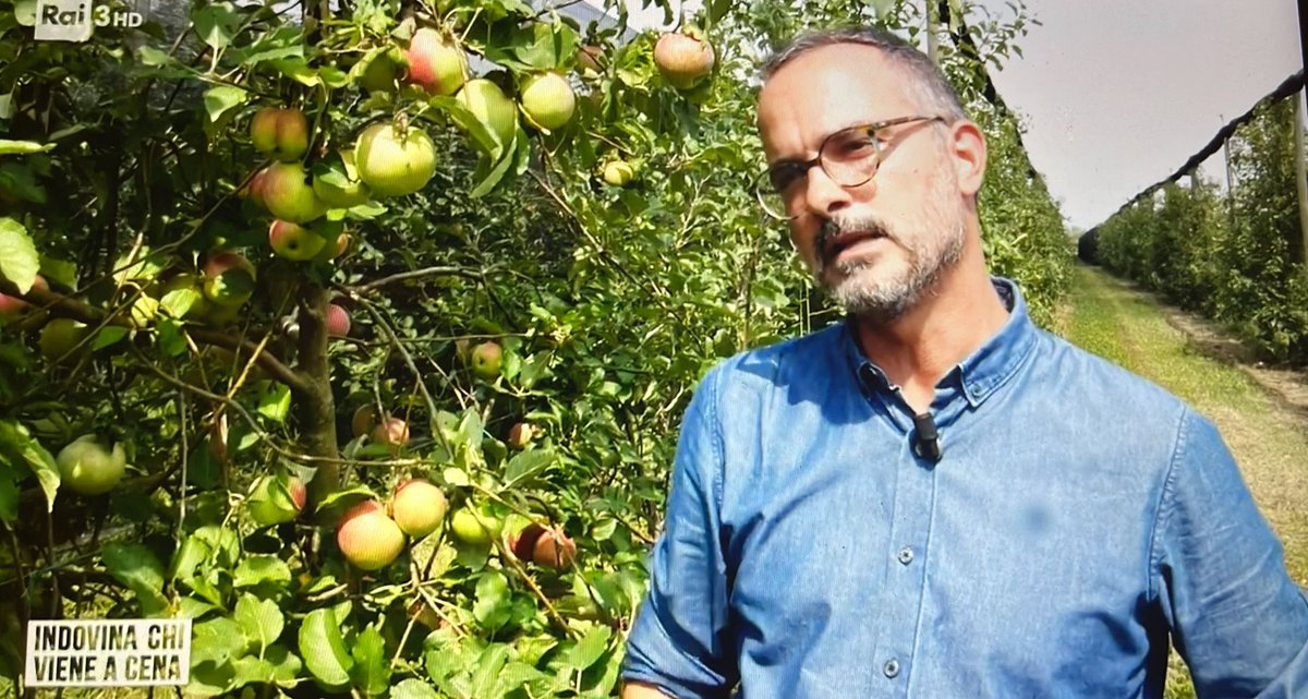 Terra_aps's tweet photo. L'#ortofrutta che noi mangiamo oggi è figlia di grossi gruppi industriali, che la hanno letteralmente "inventata", e che controllano tutta la filiera, dai semi agli agricoltori che possono coltivarla @fabiociconte su @chivieneacena3 #chipossiedeifruttidellaterra @sabri_giannini https://t.co/dMlUKsOZbT