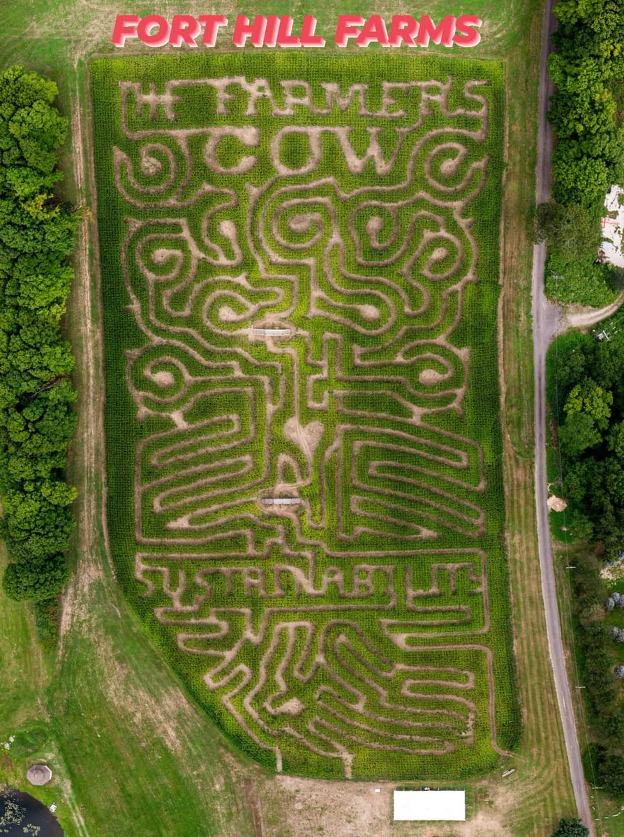 holstein1708's tweet photo. Flashlight nights are available 7 nights a week, but must call ahead or buy tix online.

Call 860-234-1153 for more details. 

Astronomer here every weekend in Sept.

#thefarmerscow #FarmOn #cabotcheese #supportlocal #sustainability #drinkmilk #cornmaze #familyfun #treeoflife https://t.co/tnUYoGVe2d
