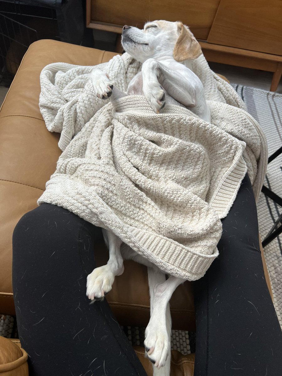 nkfuqua's tweet photo. I think I’m going to be stuck in this spot forever. How could I ever move? https://t.co/w43vcNRLXb