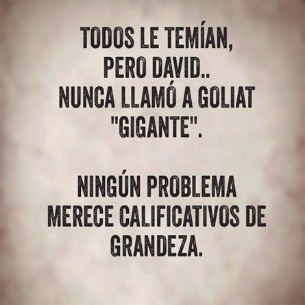 padresergioav's tweet photo. https://t.co/TGYqIClArh