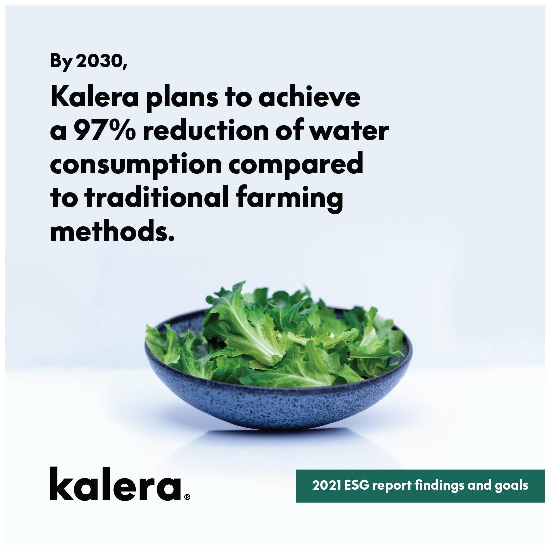 Last year, Kalera used an estimated 95% less water than traditional field farming, but that’s not good enough for us!

We pledge to use an estimated 97% less water than traditional field farming by 2030. 💪