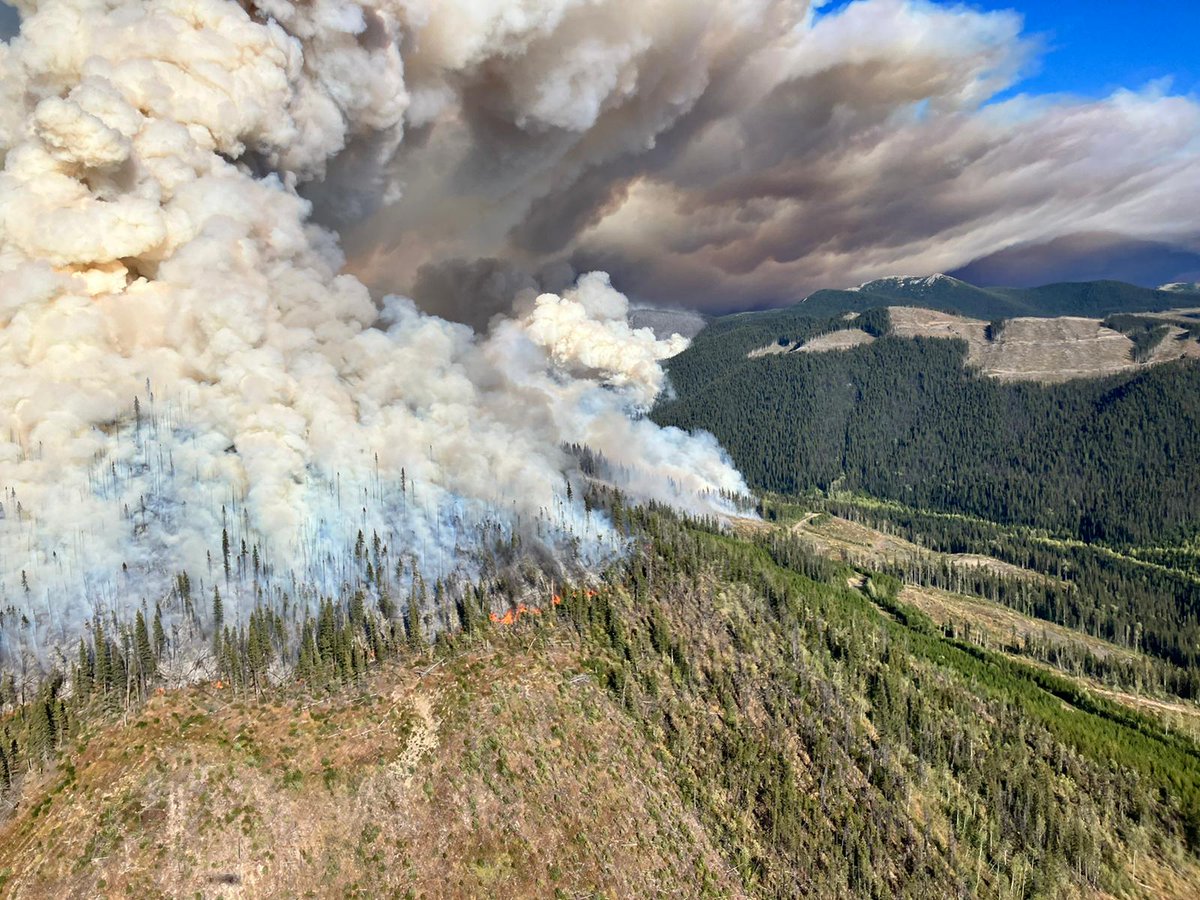 BCGovFireInfo's tweet photo. Over the last 48 hours, the Battleship Mountain #BCwildfire (G72150) has displayed extremely aggressive fire behaviour and is ~17,410 hectares in size. The extremely dry and windy conditions have driven fire behaviour to exhibit consistent Rank 5 with pockets of Rank 6. https://t.co/cV7cL22GWh