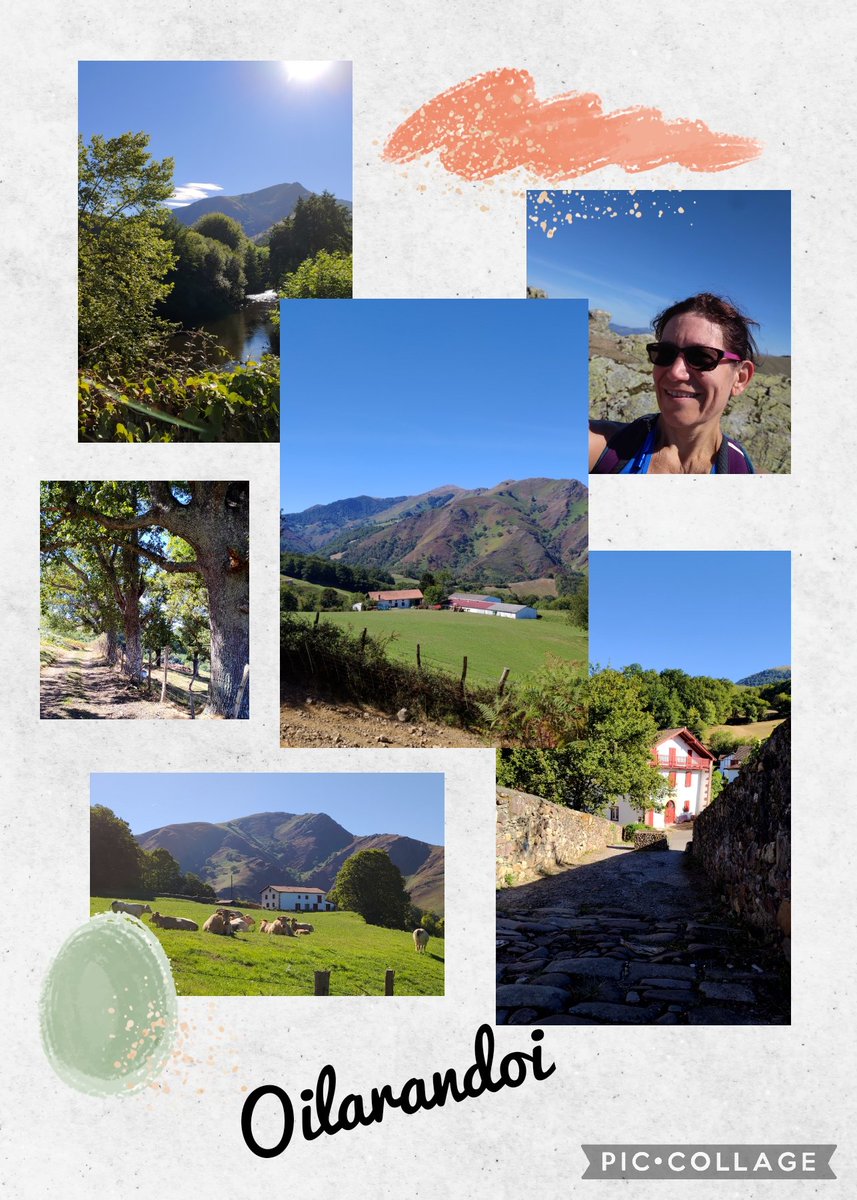 15 km hiking and 30425 steps, sun and wind 🥾
#MunroSteepChallenge2022
<a href="/MyPeakChallenge/">My Peak Challenge</a> <a href="/FrenchPeakers/">French Peakers</a> <a href="/jordana_brown/">Jordana Brown</a> <a href="/bloodwise_uk/">Bloodwise</a> <a href="/CoachValbo/">John Valbonesi</a> @fitmooney <a href="/SamHeughan/">Sam Heughan</a>