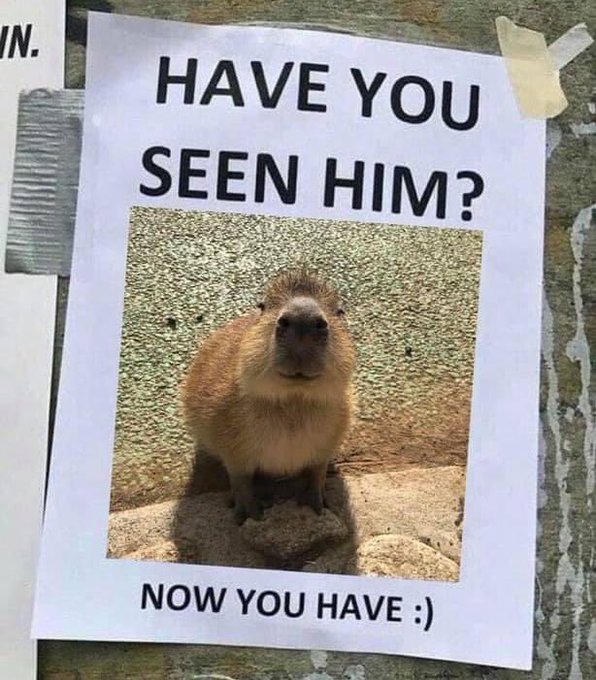 https://t.co/8cfgWzg9F8