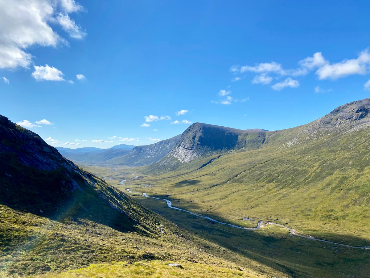 Dr Max Holloway tweet media