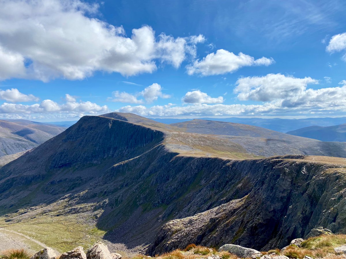 Dr Max Holloway tweet media