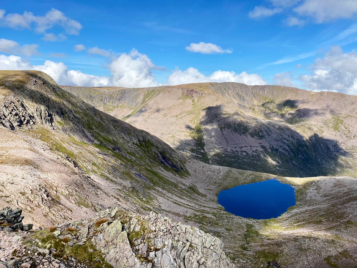 Dr Max Holloway tweet media