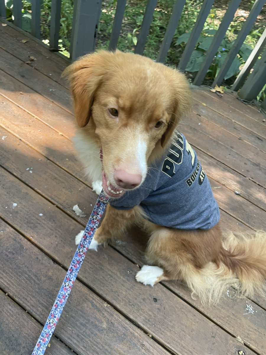 CKyleBaer's tweet photo. Boiler up!! #purduegameface @BoilerFootball https://t.co/xqQKTEilqM