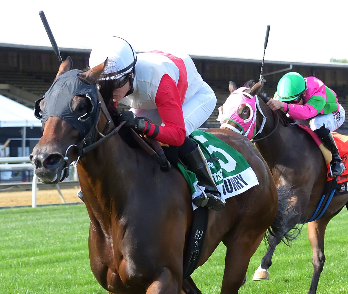 Maryland Horsemen tweet media