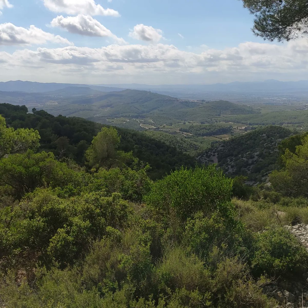 Continuem la vigilància forestal #adfcat #avinyonetdelpenedes #bonesvistes <a href="/federacioADF_PG/">Federació ADF_PG</a> <a href="/sfadfcat/">SFADF</a>