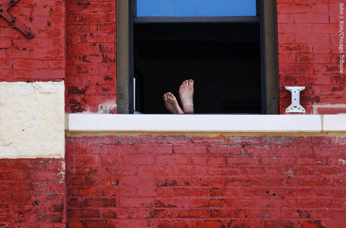 Maybe clean the floor soon

👣