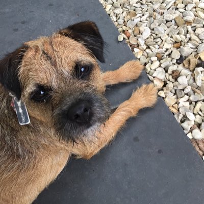 AndyMonsey's tweet photo. #NewProfilePic https://t.co/LlLdfwBZwK