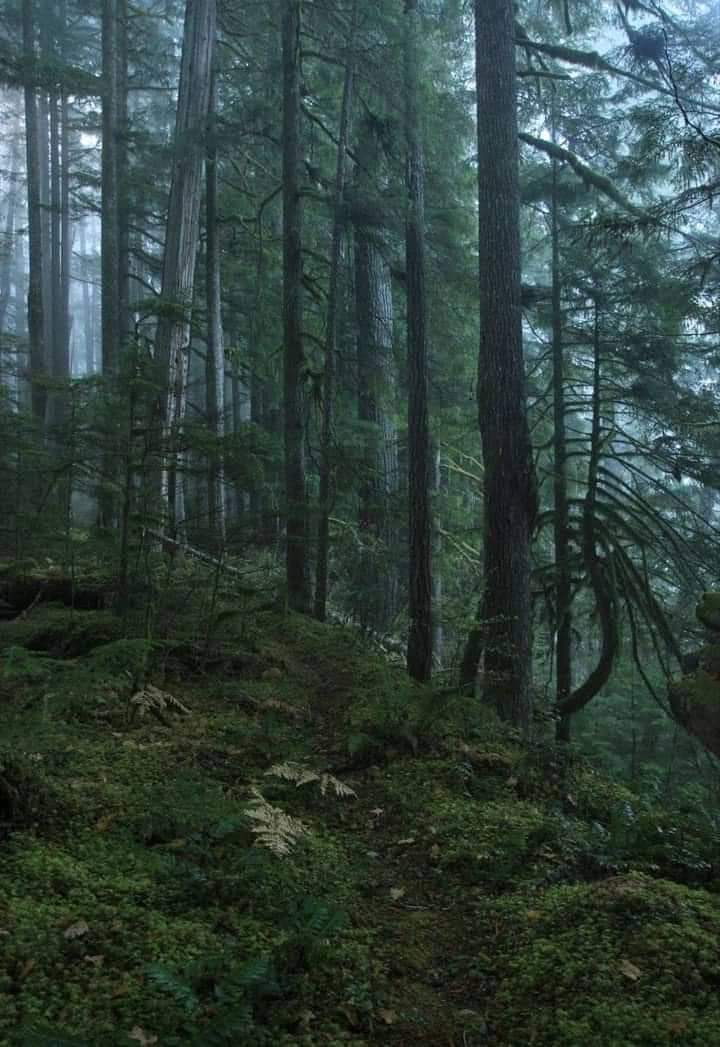 aperfectpumpkin's tweet photo. love the spooky vibes here 🖤 https://t.co/WCgRvZZkdS