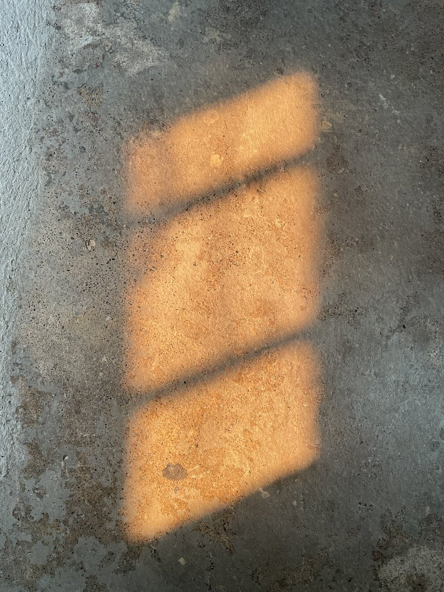 LarsParonen's tweet photo. It’s golden hour in #yyj when there should be sunny midday skies. Why not more air quality monitoring to keep the public informed and safe? #wildfire #BCwildfire #bcpoli https://t.co/23CWSAg6dM