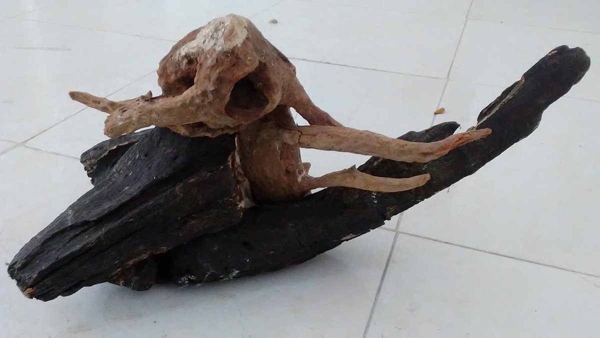 MunozproMario's tweet photo. Los NFT,s Arteagro serían un perfecto aliado de todos los que amamos la naturaleza por eso nosotros  @martinez14ever y @MunozproMario invitamos a retwiiter este mensaje ayudanos @m2monstersnft @MireshaBEE @JanethBEES @ERIKROLANDOJAR1 @WillTSBUDAO @M2_Cash @Crypto_Swarm @Everyone https://t.co/HMUPpDCsZV