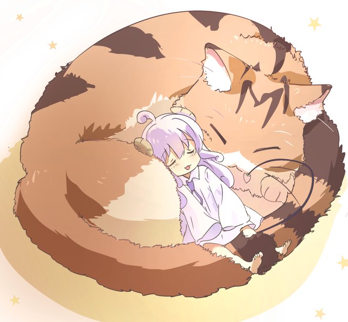 遊び疲れて眠るよりしろちゃん
( ˘꒳˘ )スヤァ…

#まちカドまぞく 