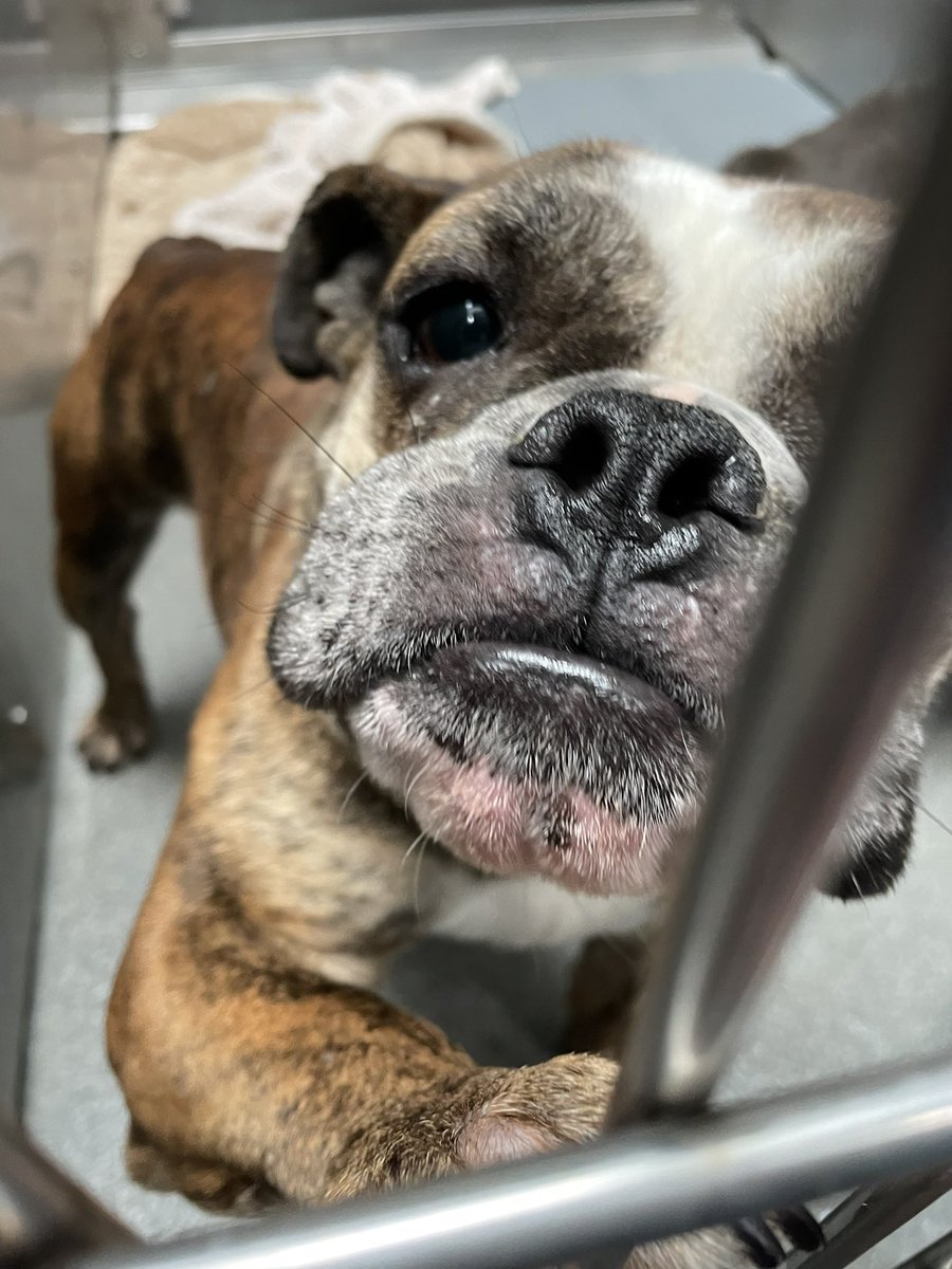 Mike Magboo tweet media