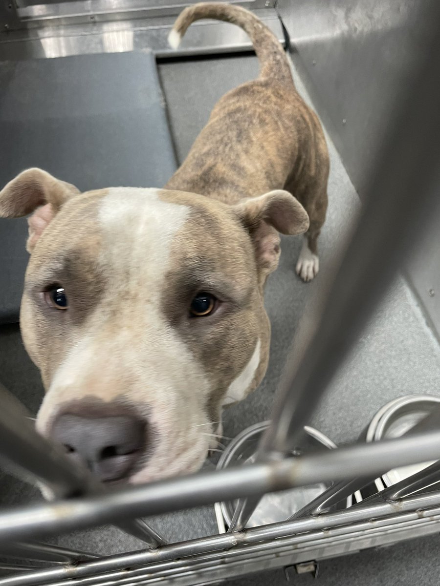 Mike Magboo tweet media