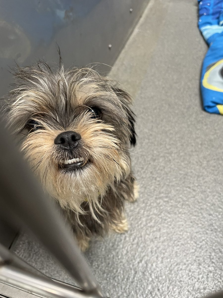 Mike Magboo tweet media