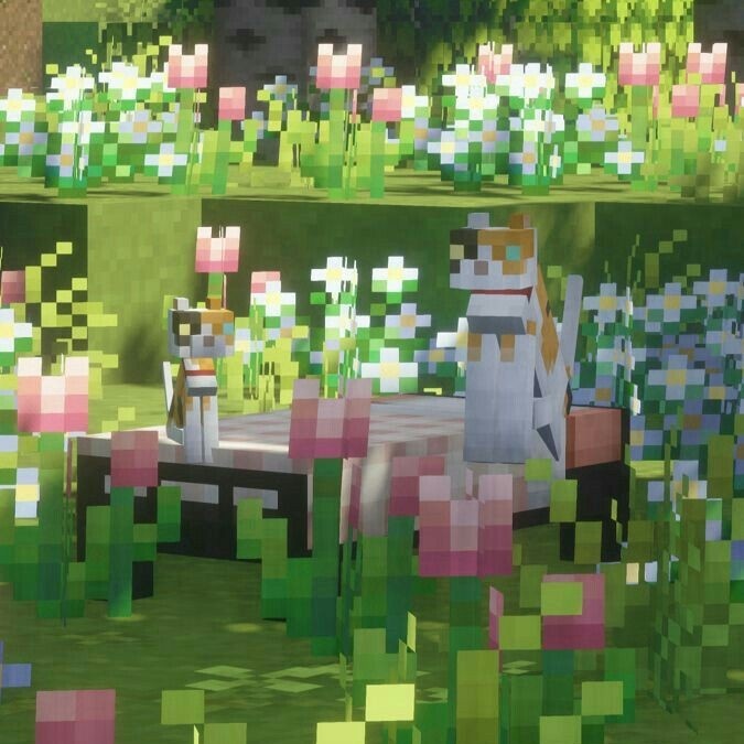 ᓚᘏᗢ ⋆ ࣪.  This or that. MC version⠀─ ﹆ ゚  ࣭   ۫