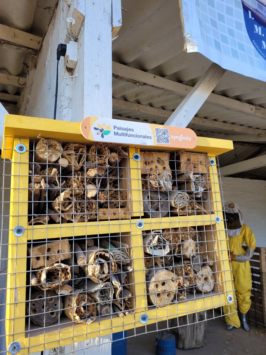 Caminando por la Expo Rural de Pergamino, nos encontramos con este hotel de insectos 🙌 En el stand de la escuela agrotécnica de Alfonso, aportando al conocimiento y difusión de alternativas sustentables y a la biodiversidad 💯
<a href="/Syngenta_ar/">Syngenta Argentina</a>